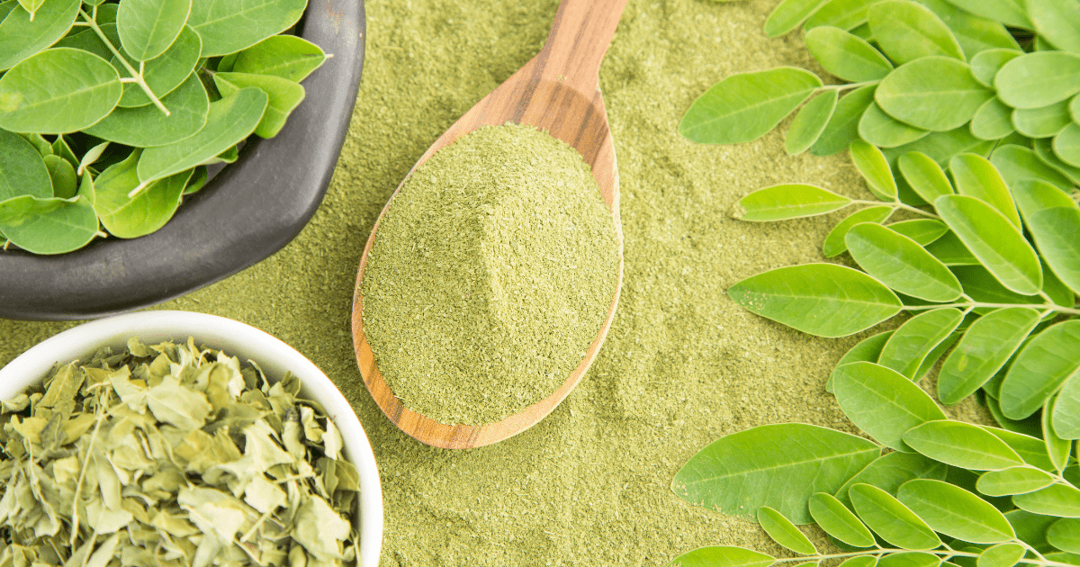 The image shows moringa leaves and moringa powder