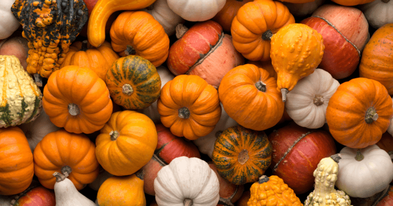 Pumpkins