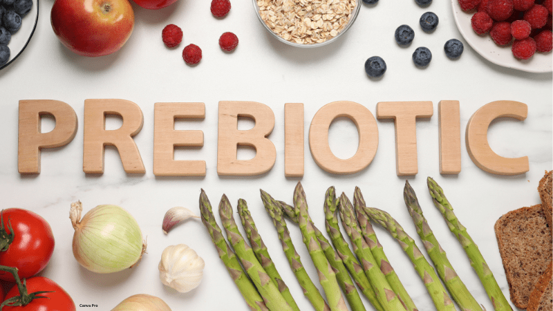 Prebiotic food